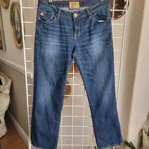 Dear John Dark wash Straight Leg Jean Sz 29